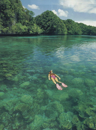 CLASS - MAGAZINE TEARSHEET -  Rock Islands -  Palau, Micronesia, Pacific Ocean ~ id# aquawoman GB013