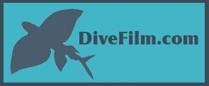Divefilm.com is a website dedicated to showcasing underwater film prepared specifically for the internet. We are particularly interested in emphasizing the artistic aspects of underwater filmmaking. 